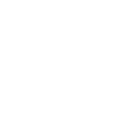 logo_WebSphere